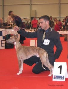 Strasbourg_Mbo_1klein