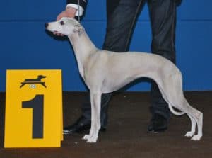 Vague_a_lame_Lux_Ch.